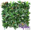 50x50cm American Beech Artificial Hedge Panel - by Papillon™ - 4 Pack - 1m²