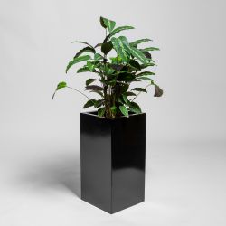 Jardinière Haute Cube Noir Brillant En Polystone De 80 cm