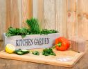 Kit de Culture Salade Méditéranéenne - Ensemble Jardinière , 5 Variétés de Graines avec Compost