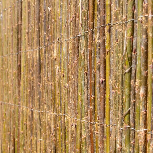 Rouleau de 2x5 m Canisse en tige de roseaux naturel - Nature