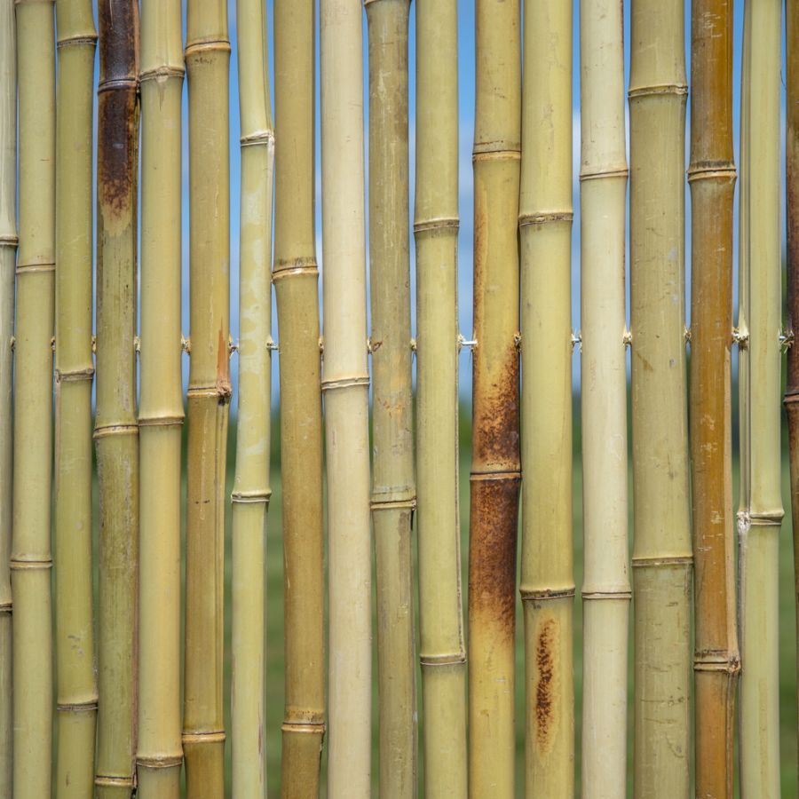  Rouleau de Bambou  Epais Blanc pour Cl tures 1 9m x H1 8m 