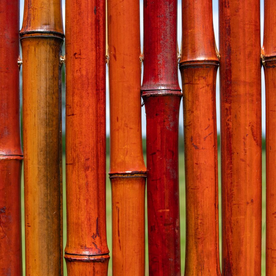  Rouleau de Bambou  Epais Rouge pour Cl tures 1 9m x H1 8m 
