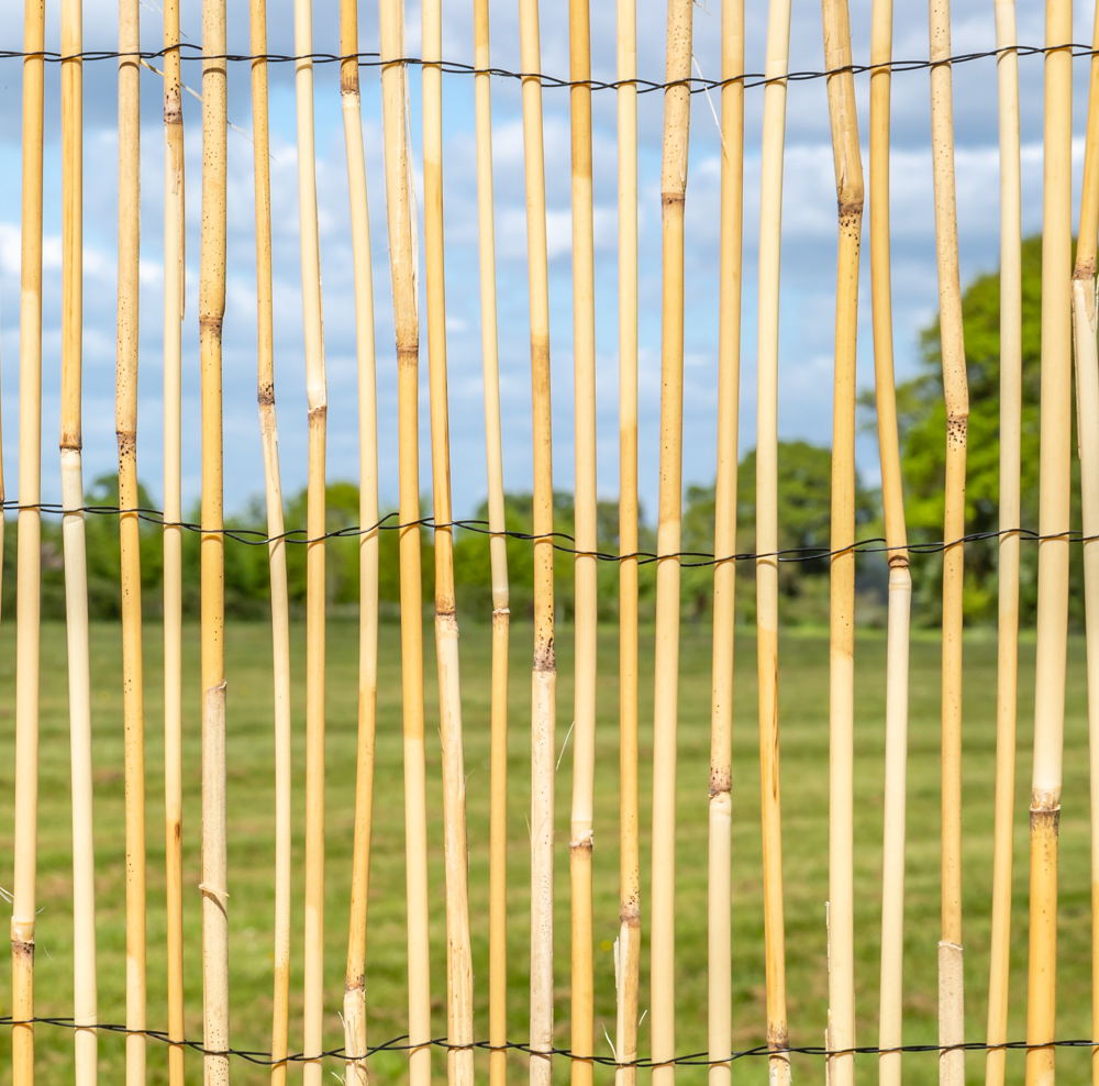 Naturel Clôture pelées Reed Screening clôture de jardin confidentialité Panneau Rouleau 1.5 m x 4 m 
