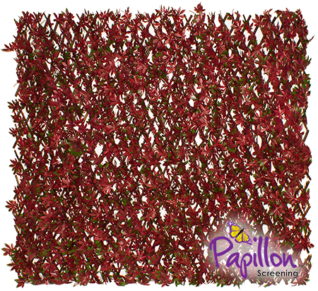 Haie Artificielle Érable Rouge sur Treillage Extensible 1 x 2m pour Clôtures - par Papillon ™
