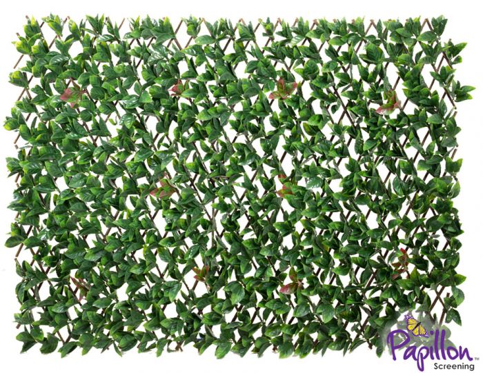 Haie Artificielle Feuillage de Laurier sur Treillis Extensible 1 x 2m pour Clôtures - par Papillon ™