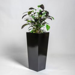 Jardinière Haute Évasée Noire Brillant En Polystone De 75 cm