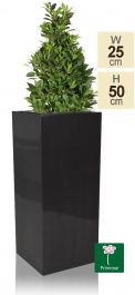 50 cm Petit Cache-Pot Haut Cube Zinc – Platine