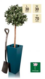 Jardinière Carrée Évasée Turquoise Galvanisée De 70 cm - Par Primrose ™