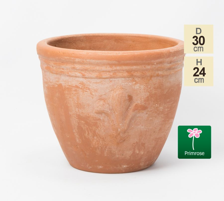 Pot En Terre Cuite De 30 cm à Motif Fleur De Lis 22,99 €