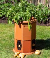 Victorian Potato Barrel - H60cm x D43cm