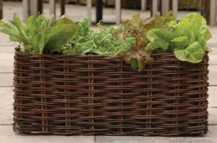 Jardinière en Osier pour Salades
