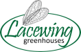 Serres Lacewing