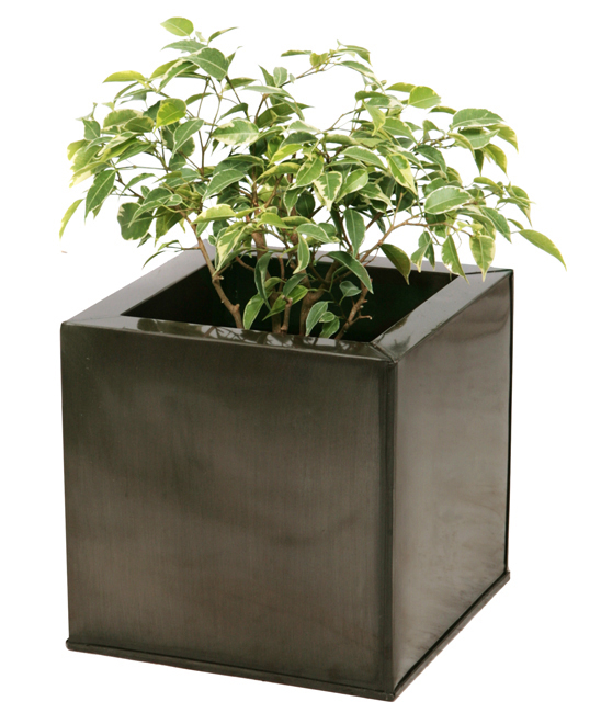 50cm XL Cache-Pot Cube en Zinc Galvanisé – Gris Anthracite