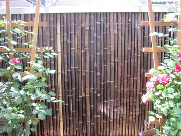 Rouleau de Bambou Epais Noir pour Cltures 1.9m x H1.8m - Par Papillon